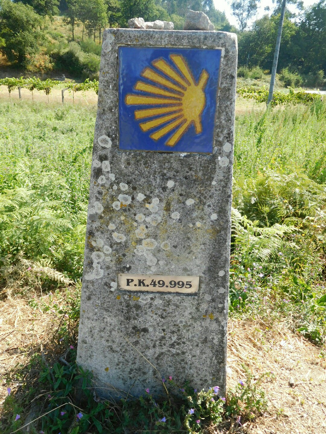 Camino Day 10