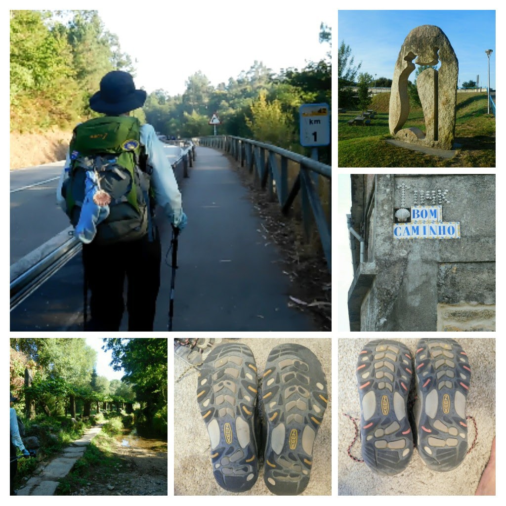 Camino Day 7