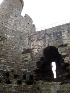Conwy4