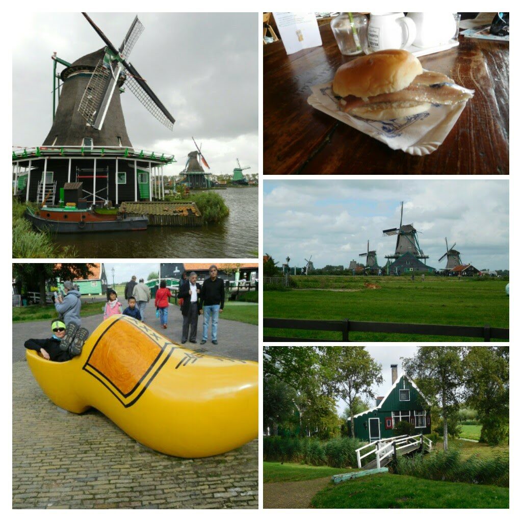 Old Holland-COLLAGE