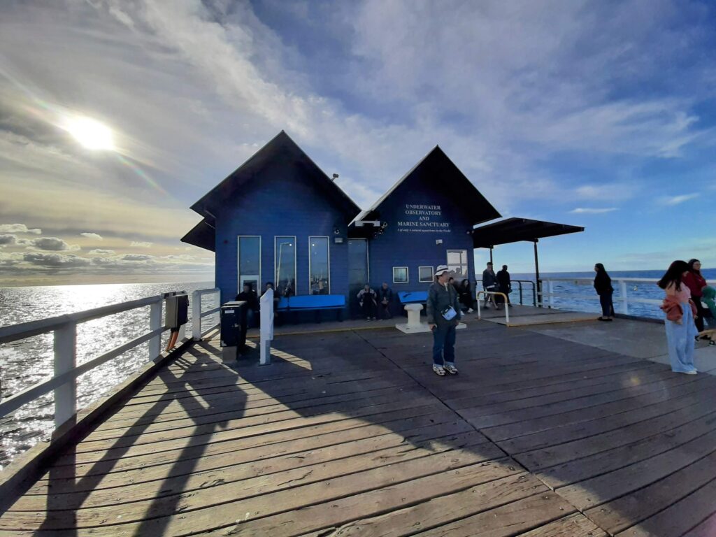 Busselton1 (8)
