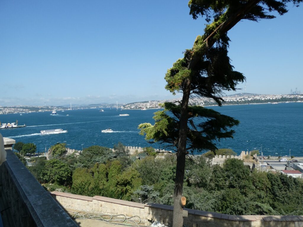 Resize_20230820_165119_9588