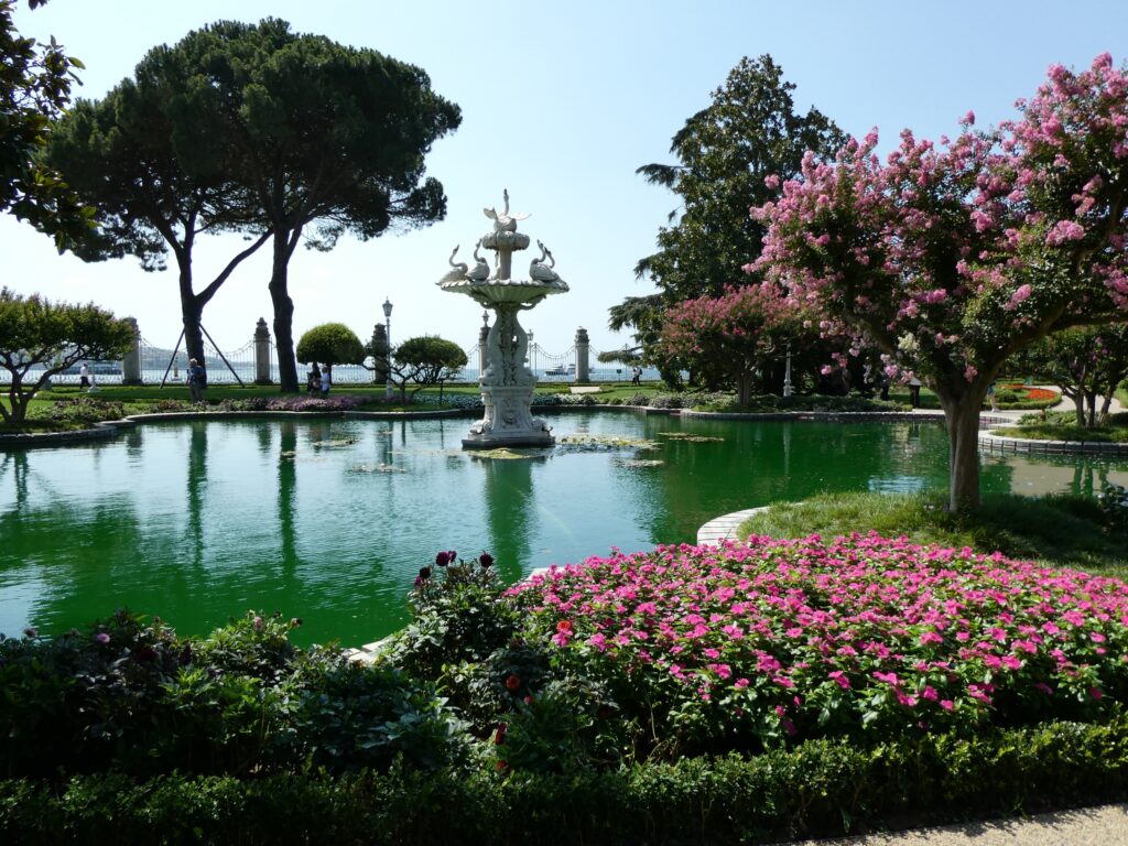 Resize_20230820_165125_5329