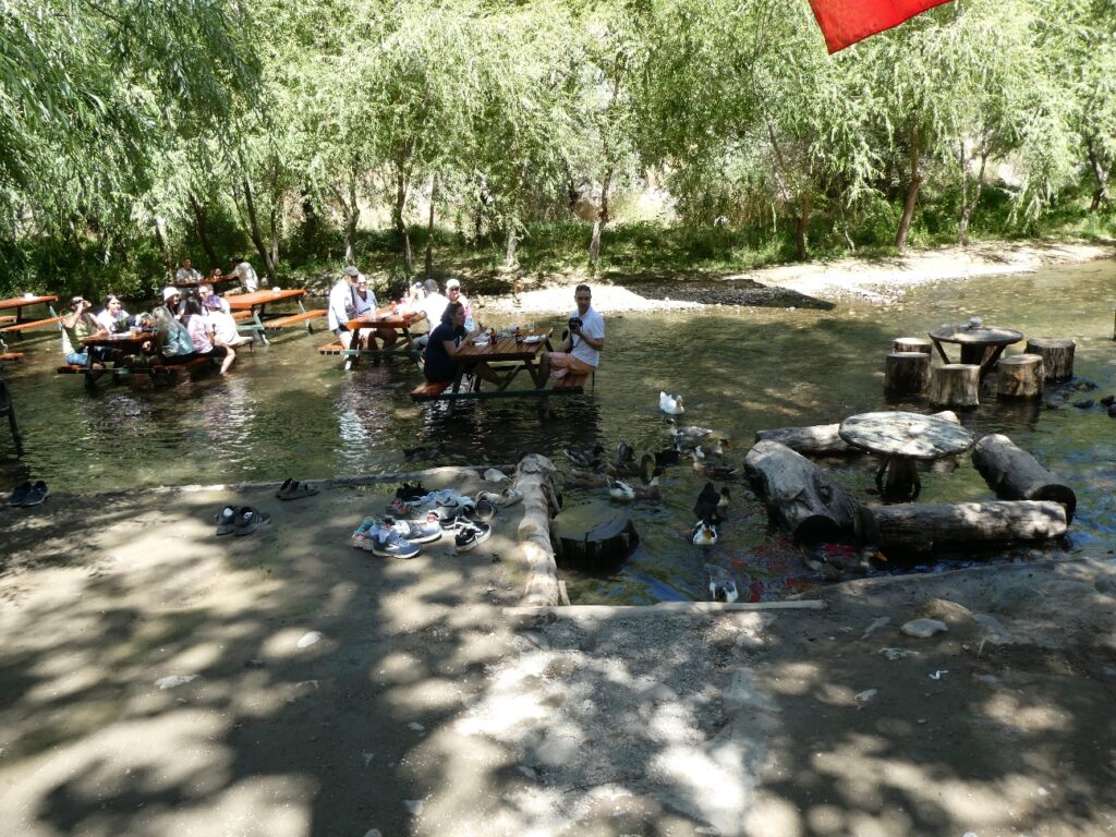 Resize_20230824_102646_6648