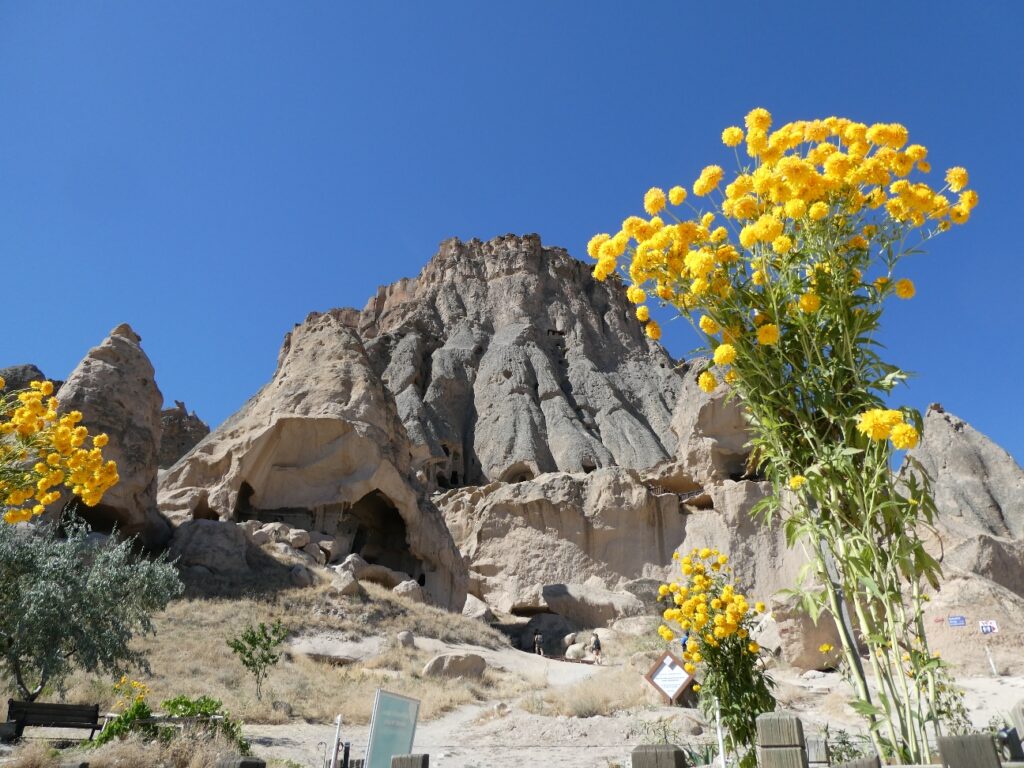 Resize_20230825_094027_7774