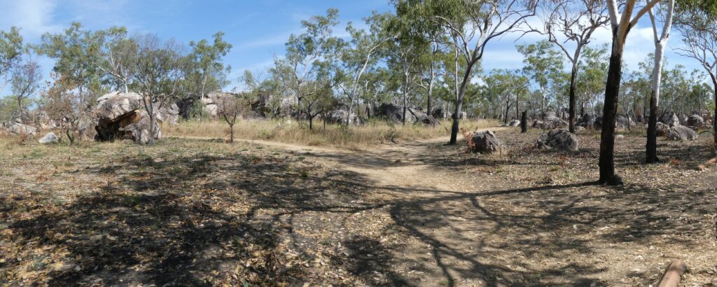 Rock paintings 12jpg