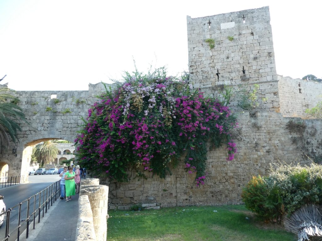 Resize_20230904_085007_7753