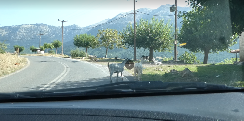 Screenshot_20230921-173847