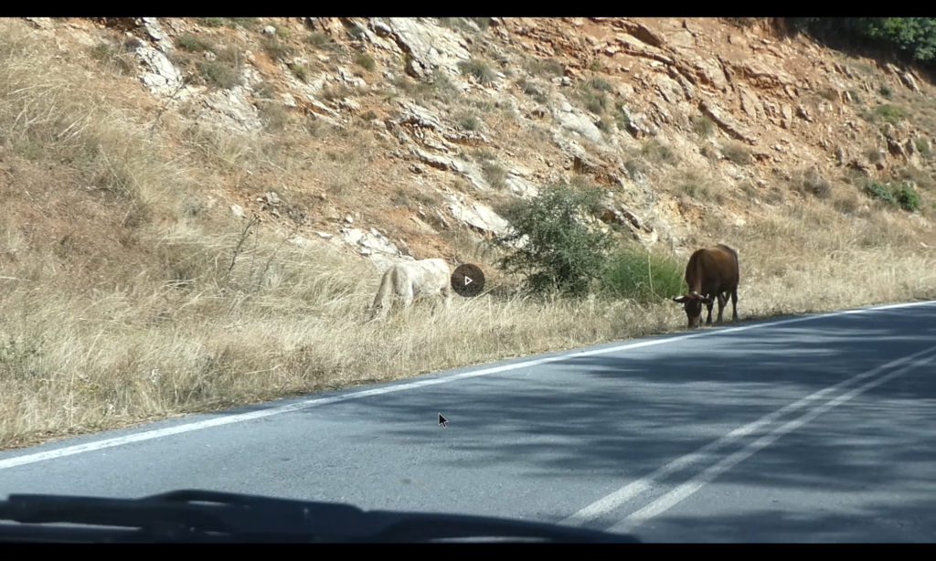 Screenshot_20230921-174027