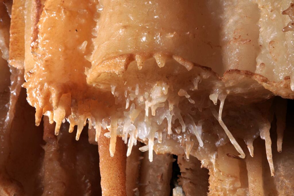 GrotteCastellana_7_ph_Ladogana