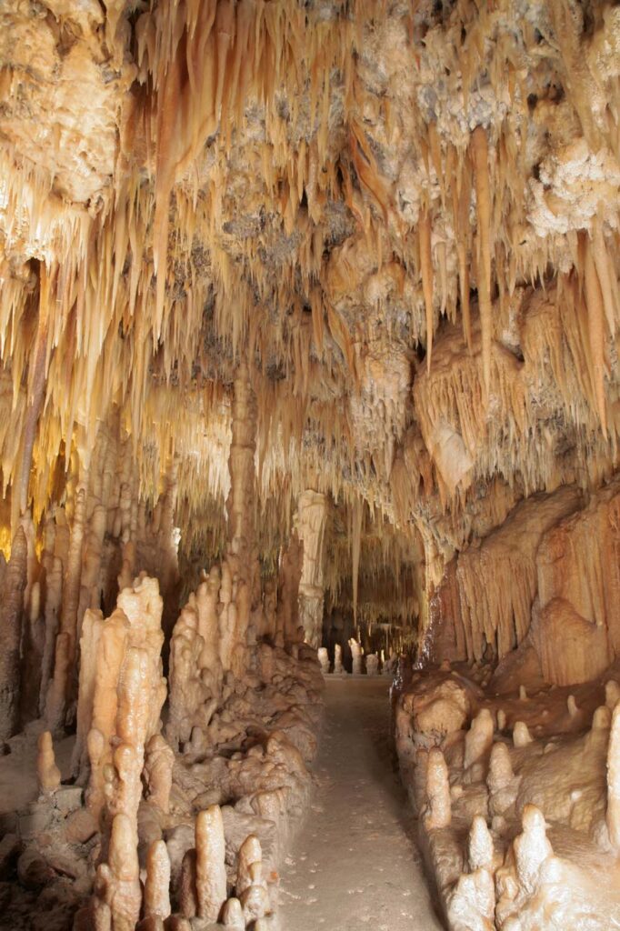 GrotteCastellana_GrottaBianca2_ph_Ladogana