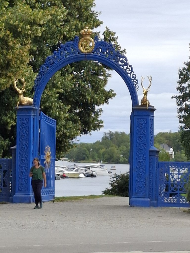 20250819_132359 20250819_132359