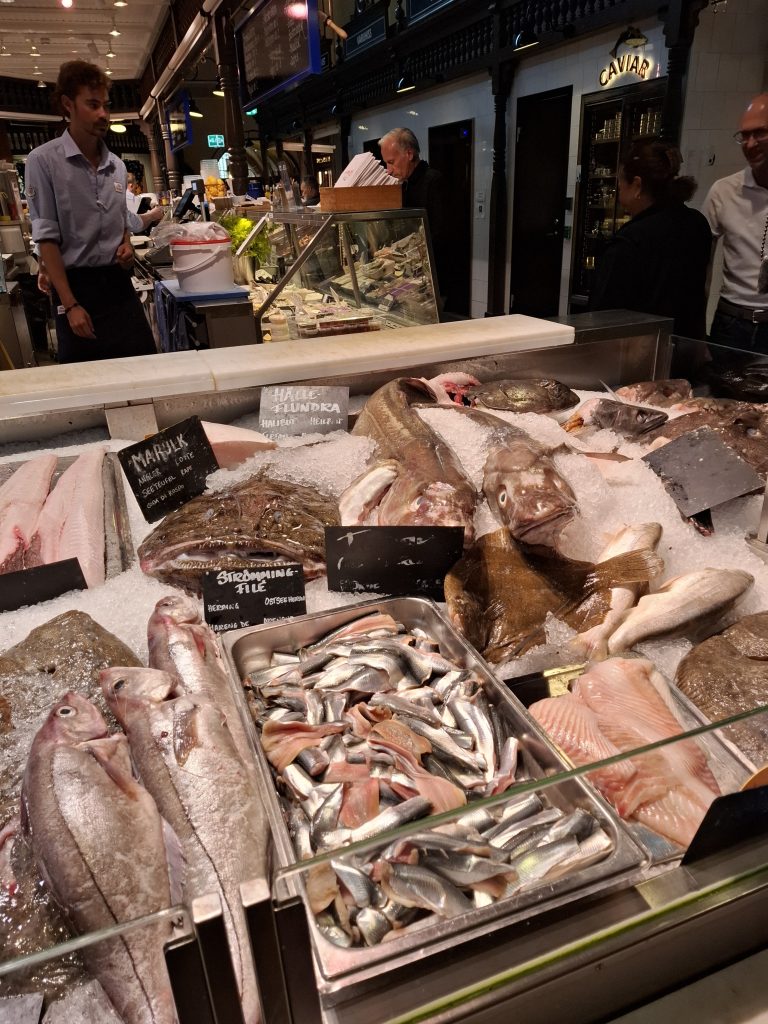 20250819_135411 20250819_135411