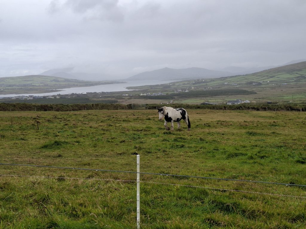 20250912_130020 20250912_130020