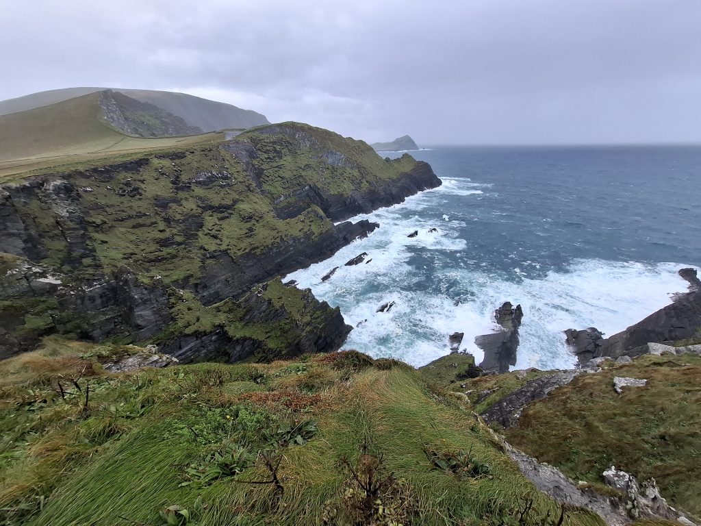 20250912_130137 20250912_130137