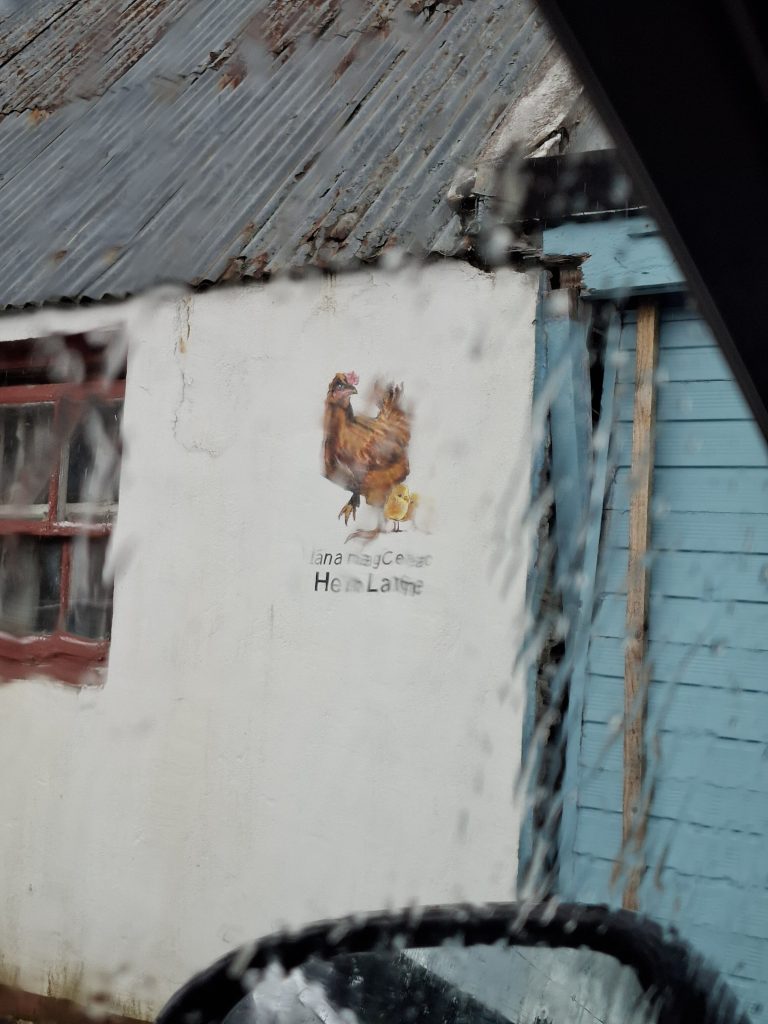 20250912_151120 20250912_151120