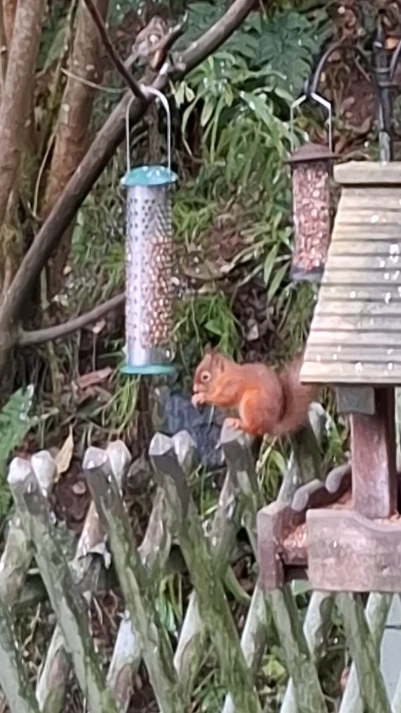 20250922_174104_exported_54007