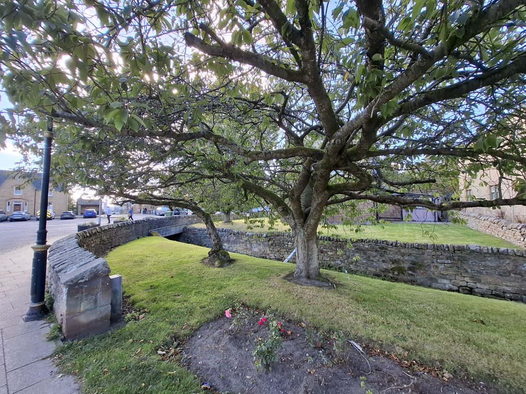 20250924_144710 20250924_144710