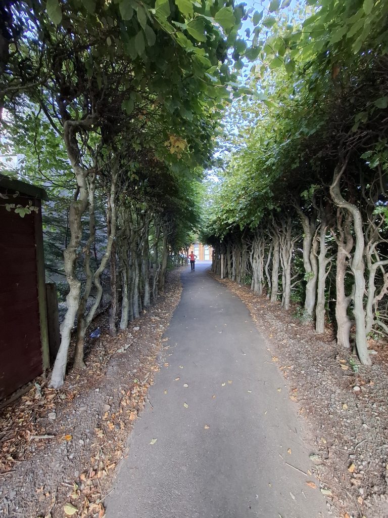 20250924_145243 20250924_145243