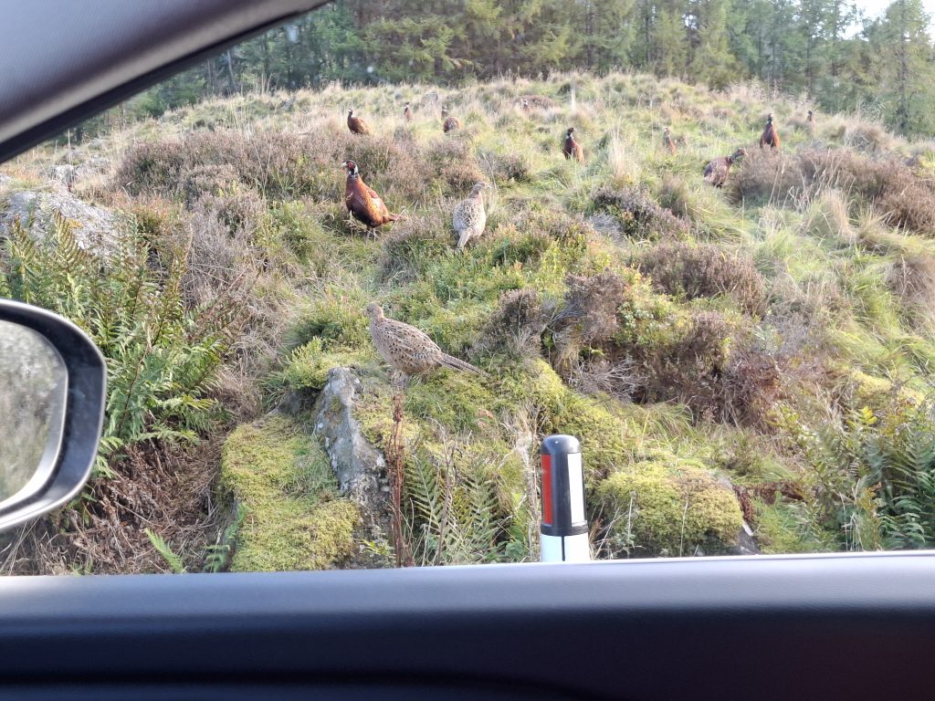 20250925_171547 20250925_171547