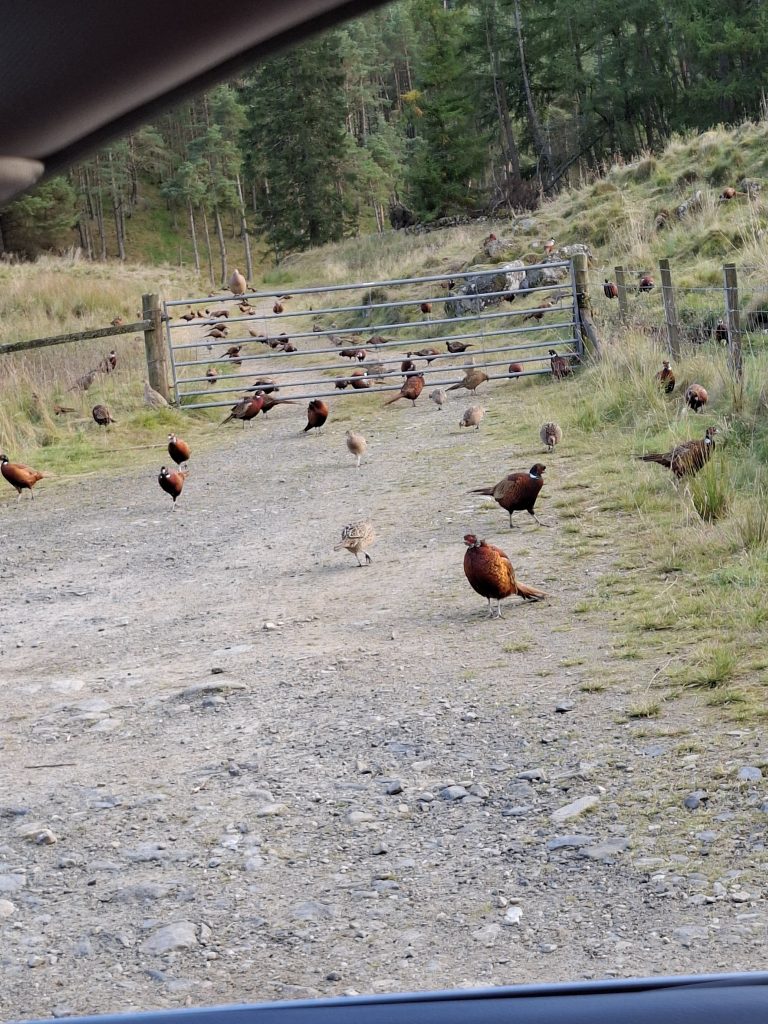 20250925_171600 20250925_171600