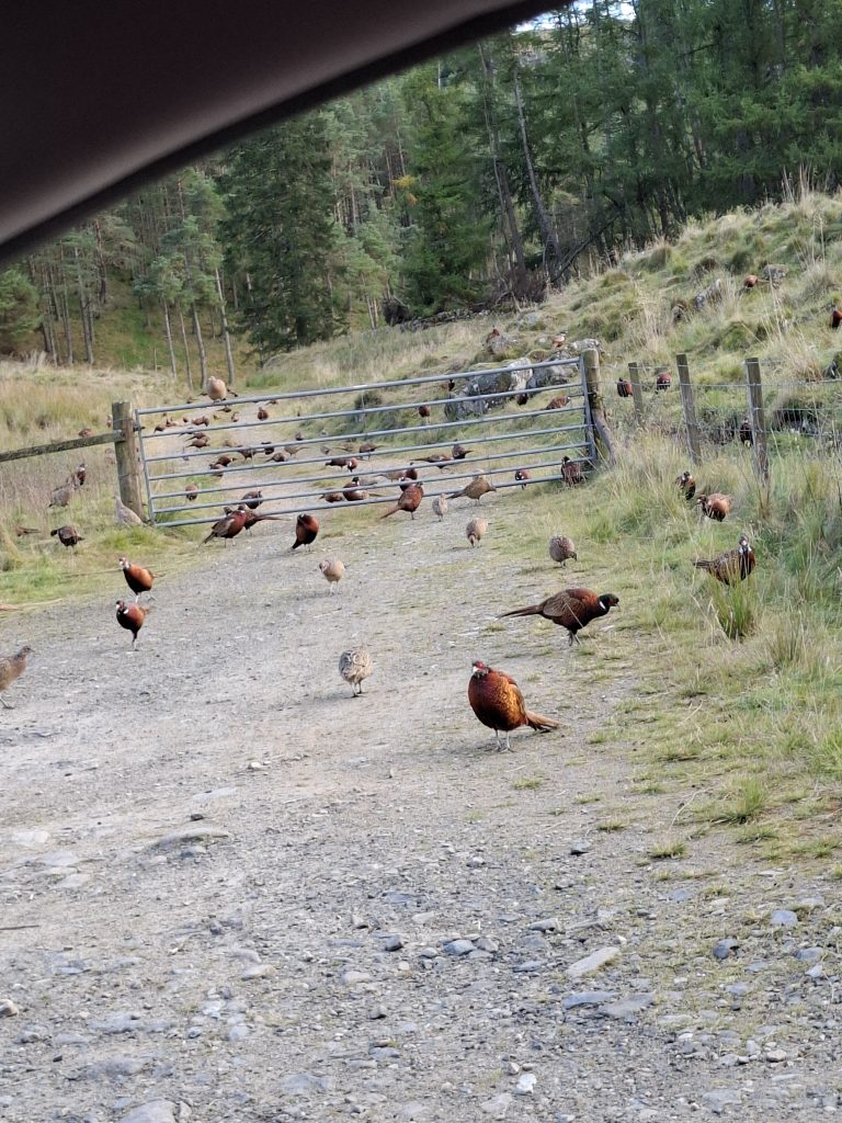 20250925_171601 20250925_171601