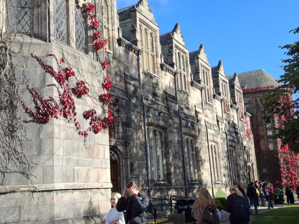 20250926_115900 20250926_115900