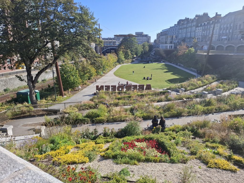 20250926_135229 20250926_135229