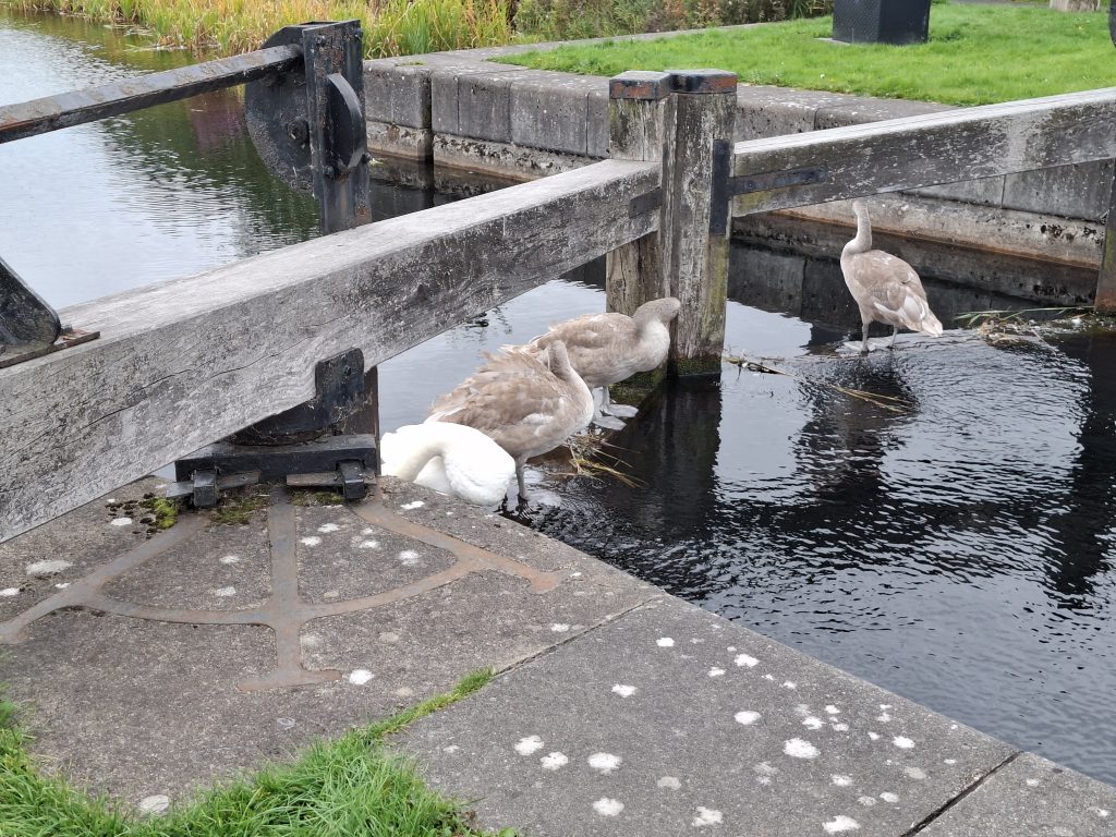 20250927_093936 20250927_093936