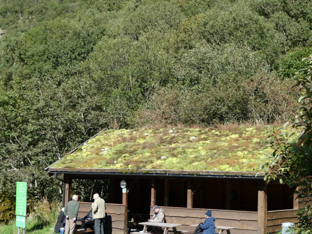 Resizer_17567115986193